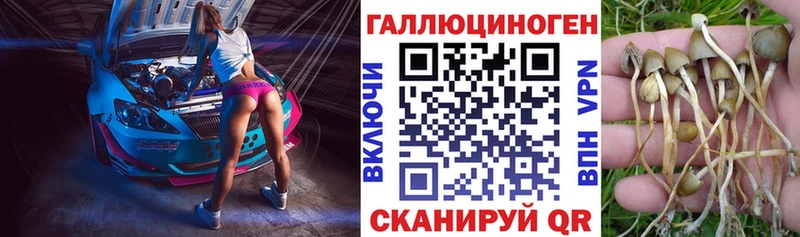 Галлюциногенные грибы мицелий  как найти наркотики  Электросталь 